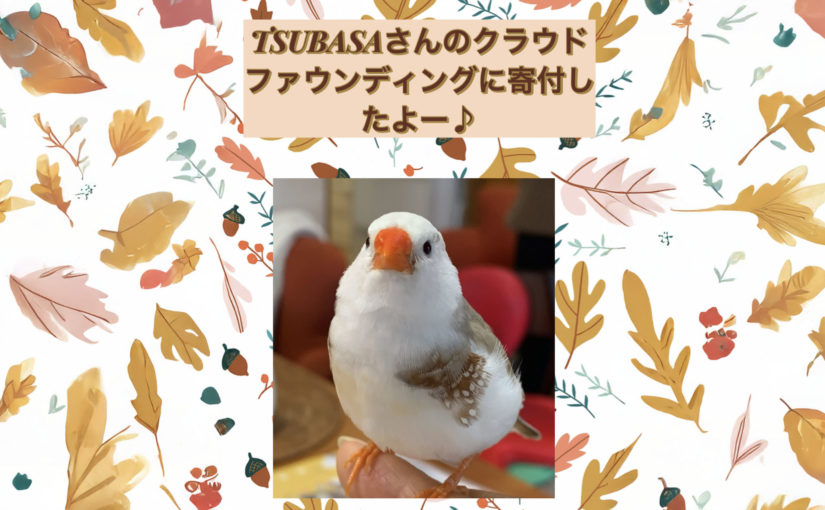 TSUBASAさんのクラウドファンディングについて