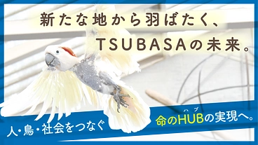 https://readyfor.jp/projects/tsubasa1115